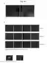 Fig. 26 - NUCLEOTIDE REPEAT EXPANSION-ASSOCIATED POLYPEPTIDES AND USES THEREOF