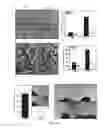 Fig. 05 - COMPOUNDS AND METHODS OF MODULATING ANGIOGENESIS