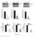Fig. 10 - COMPOUNDS AND METHODS OF MODULATING ANGIOGENESIS