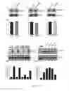 Fig. 16 - COMPOUNDS AND METHODS OF MODULATING ANGIOGENESIS