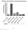 Fig. 22 - COMPOUNDS AND METHODS OF MODULATING ANGIOGENESIS