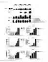Fig. 03 - Method for promoting virus infection and increasing virus production, by using cell line having lost BST2 gene functions