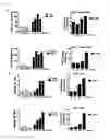 Fig. 04 - Method for promoting virus infection and increasing virus production, by using cell line having lost BST2 gene functions