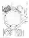 Fig. 02 - Compositions And Methods For Treating Tumors And Immune Based Inflammatory Diseases