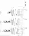 Fig. 05 - Compositions And Methods For Treating Tumors And Immune Based Inflammatory Diseases