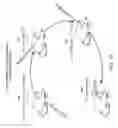 Fig. 19 - Compositions And Methods For Treating Tumors And Immune Based Inflammatory Diseases