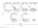 Fig. 110 - PROCESS OF AFOD AND AFCC AND MANUFACTURING AND PURIFICATION PROCESSES OF PROTEINS
