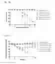 Fig. 133 - PROCESS OF AFOD AND AFCC AND MANUFACTURING AND PURIFICATION PROCESSES OF PROTEINS