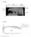 Fig. 141 - PROCESS OF AFOD AND AFCC AND MANUFACTURING AND PURIFICATION PROCESSES OF PROTEINS