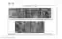 Fig. 145 - PROCESS OF AFOD AND AFCC AND MANUFACTURING AND PURIFICATION PROCESSES OF PROTEINS
