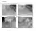 Fig. 149 - PROCESS OF AFOD AND AFCC AND MANUFACTURING AND PURIFICATION PROCESSES OF PROTEINS