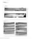 Fig. 62 - PROCESS OF AFOD AND AFCC AND MANUFACTURING AND PURIFICATION PROCESSES OF PROTEINS