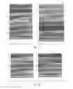 Fig. 63 - PROCESS OF AFOD AND AFCC AND MANUFACTURING AND PURIFICATION PROCESSES OF PROTEINS