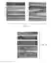 Fig. 64 - PROCESS OF AFOD AND AFCC AND MANUFACTURING AND PURIFICATION PROCESSES OF PROTEINS