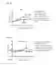 Fig. 71 - PROCESS OF AFOD AND AFCC AND MANUFACTURING AND PURIFICATION PROCESSES OF PROTEINS