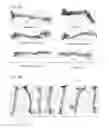Fig. 80 - PROCESS OF AFOD AND AFCC AND MANUFACTURING AND PURIFICATION PROCESSES OF PROTEINS