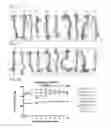 Fig. 82 - PROCESS OF AFOD AND AFCC AND MANUFACTURING AND PURIFICATION PROCESSES OF PROTEINS