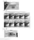 Fig. 95 - PROCESS OF AFOD AND AFCC AND MANUFACTURING AND PURIFICATION PROCESSES OF PROTEINS