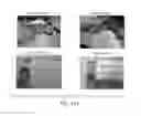 Fig. 97 - PROCESS OF AFOD AND AFCC AND MANUFACTURING AND PURIFICATION PROCESSES OF PROTEINS