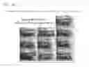 Fig. 98 - PROCESS OF AFOD AND AFCC AND MANUFACTURING AND PURIFICATION PROCESSES OF PROTEINS