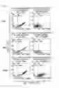 Fig. 07 - SINGLE CHAIN ANTIGEN RECOGNIZING CONSTRUCTS (SCARCS) STABILIZED BY THE INTRODUCTION OF NOVEL DISULFIDE BONDS