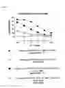 Fig. 10 - SINGLE CHAIN ANTIGEN RECOGNIZING CONSTRUCTS (SCARCS) STABILIZED BY THE INTRODUCTION OF NOVEL DISULFIDE BONDS