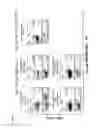 Fig. 11 - SINGLE CHAIN ANTIGEN RECOGNIZING CONSTRUCTS (SCARCS) STABILIZED BY THE INTRODUCTION OF NOVEL DISULFIDE BONDS
