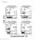 Fig. 13 - SINGLE CHAIN ANTIGEN RECOGNIZING CONSTRUCTS (SCARCS) STABILIZED BY THE INTRODUCTION OF NOVEL DISULFIDE BONDS