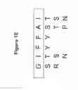 Fig. 04 - NOTCH BINDING AGENTS AND ANTAGONISTS AND METHODS OF USE THEREOF