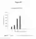 Fig. 17 - NOTCH BINDING AGENTS AND ANTAGONISTS AND METHODS OF USE THEREOF