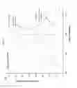 Fig. 06 - NKp46 binding proteins