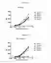 Fig. 20 - NKp46 binding proteins