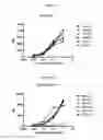 Fig. 23 - NKp46 binding proteins
