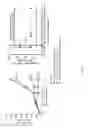 Fig. 28 - ANTIBODIES TARGETING CD32b AND METHODS OF USE THEREOF