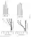 Fig. 30 - ANTIBODIES TARGETING CD32b AND METHODS OF USE THEREOF