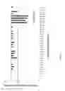 Fig. 41 - ANTIBODIES TARGETING CD32b AND METHODS OF USE THEREOF