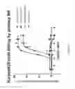 Fig. 48 - ANTIBODIES TARGETING CD32b AND METHODS OF USE THEREOF