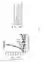 Fig. 52 - ANTIBODIES TARGETING CD32b AND METHODS OF USE THEREOF
