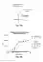 Fig. 05 - Antibody molecules to TIM-3 and uses thereof