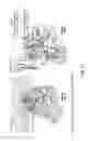 Fig. 12 - Antibody molecules to TIM-3 and uses thereof