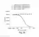 Fig. 21 - Antibody molecules to TIM-3 and uses thereof