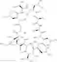 Fig. 42 - Antibody molecules to TIM-3 and uses thereof