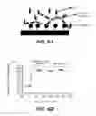 Fig. 07 - BISPECIFIC ANTIGEN BINDING MOLECULES