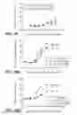 Fig. 31 - BISPECIFIC ANTIGEN BINDING MOLECULES