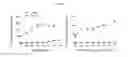 Fig. 04 - COMPOSITIONS AND METHODS FOR SAFE AND EFFECTIVE IMMUNOTHERAPY