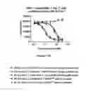 Fig. 25 - Multi-chain polypeptide-containing tri-specific binding molecules