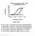 Fig. 26 - Multi-chain polypeptide-containing tri-specific binding molecules