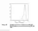 Fig. 40 - Multi-chain polypeptide-containing tri-specific binding molecules