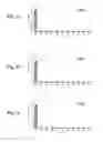 Fig. 03 - COMPOSITIONS CAPABLE OF SPECIFICALLY BINDING PARTICULAR HUMAN ANTIGEN PRESENTING MOLECULE/ ANTIGEN COMPLEXES AND USES THEREOF