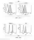 Fig. 12 - Method of treatment for leukemia using an anti-IL1RAP antibody
